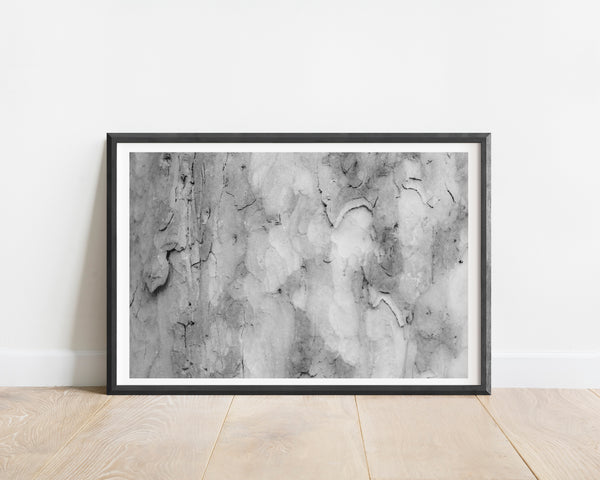 Abstract II