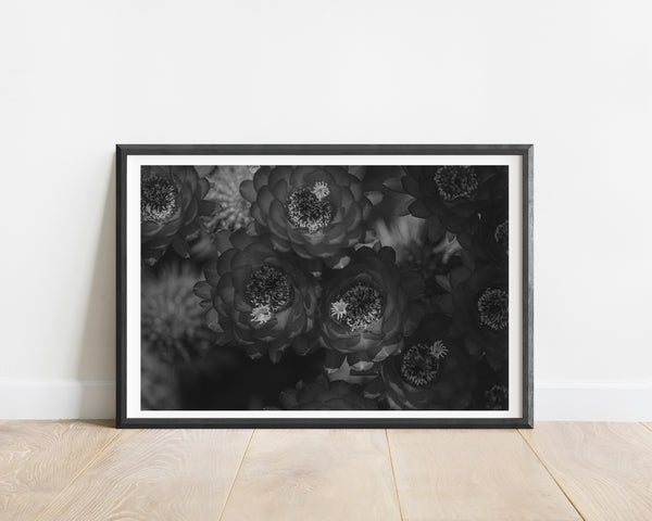 Darken II