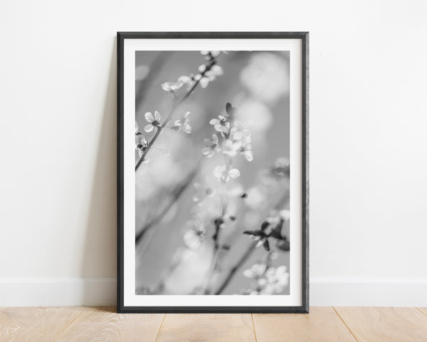 Blossom