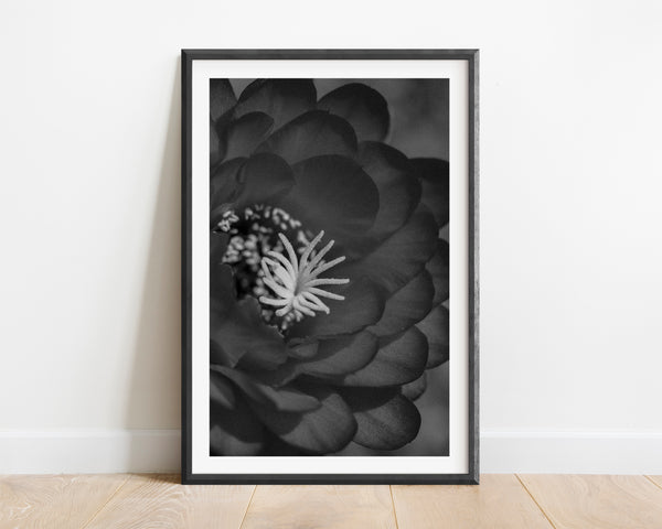 Darken I