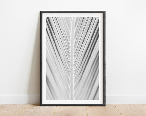 Palm