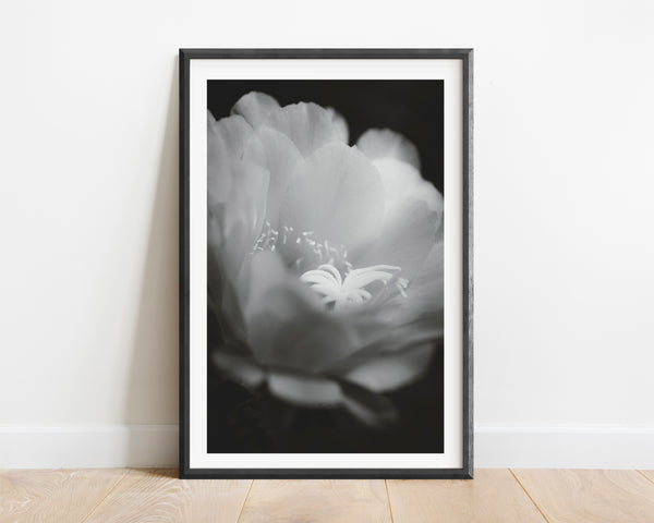 Petal