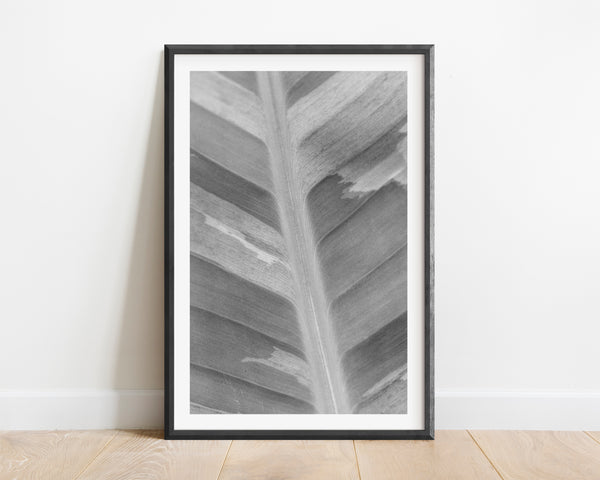Brushstroke