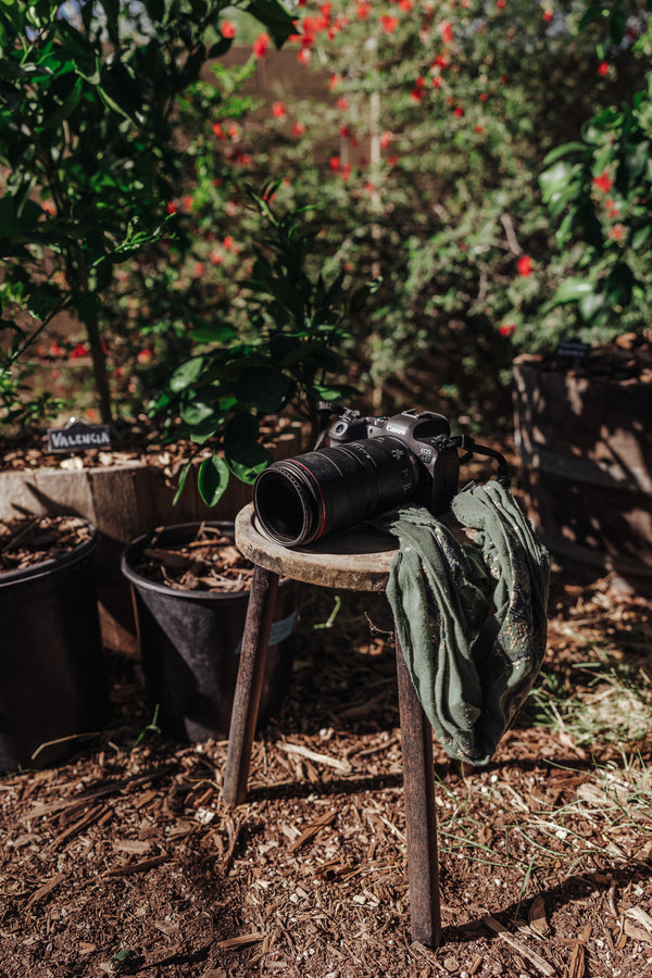 From Camera to Print: The Process Behind Each Photograph