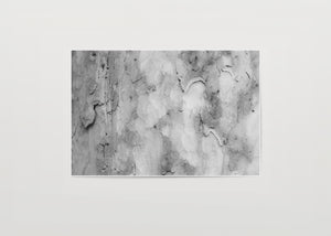 Abstract II
