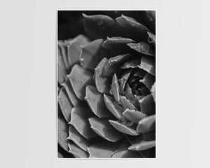 Droplet