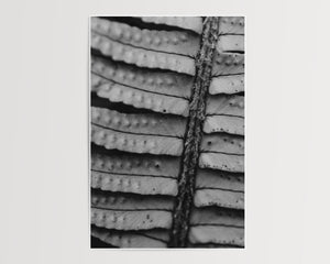 Texture II