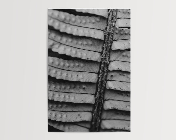 Texture II