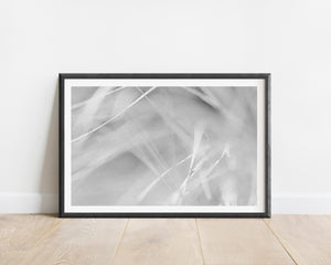 Abstract III