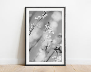 Blossom