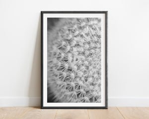 Fortress
